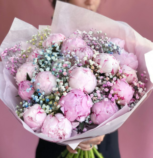 Пионы и гипсофила