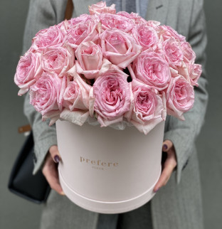 Růže v kloboukové krabici Grand