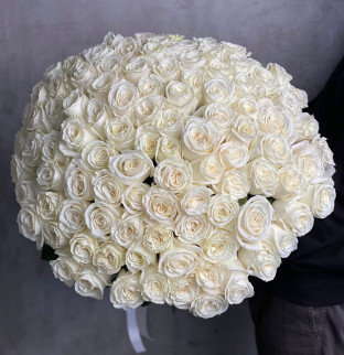 101 bílých růží 