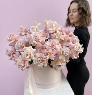 101 neobyčejných růží v krabici