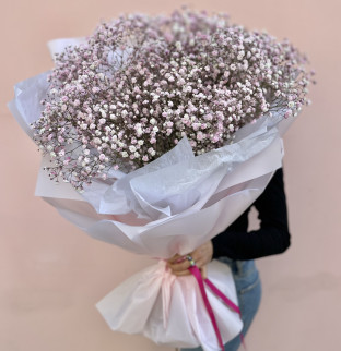 Kytice růžové gypsophily