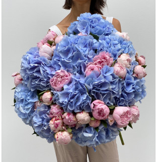 Гортензии и пионы XXL