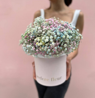 Гипсофила в коробке