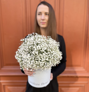 White gypsophila in a box