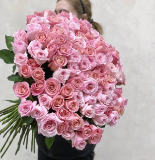 Puget 101 růžových růží