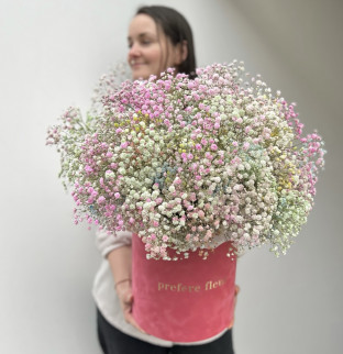 Гипсофила в коробке #4