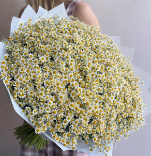 Ромашка 101 шт