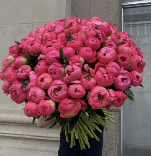 101 tmavě růžových pivoněk 
