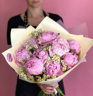 Pivoňky a heřmánek 