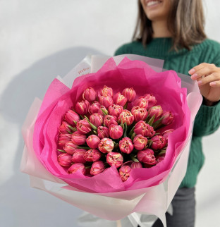 Premium tulipány: korálové 