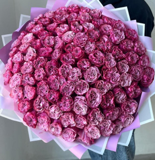 101 růžových růží 