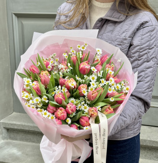 Premium tulipány: korálové 