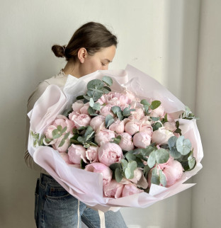 Peony roses Peony Pink