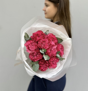 Pivoňkové růže Country Blues - 9 kusů